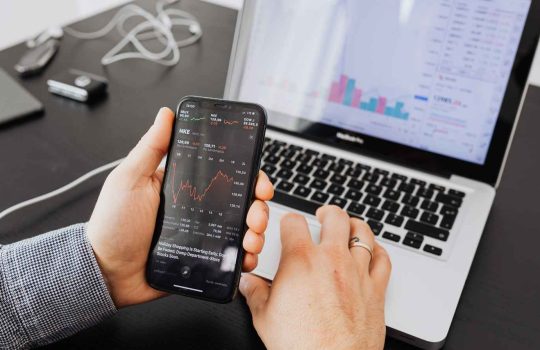 קידום אתרים אורגני2